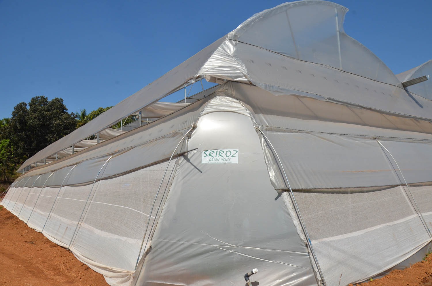 Greenhouse Project 28